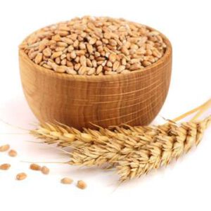 wheat grain