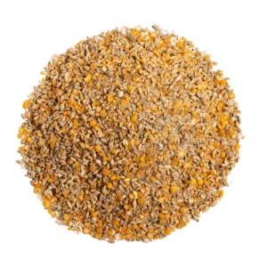 Chicken Feed