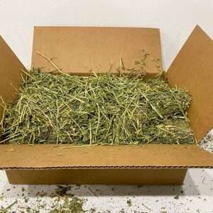 Alfalfa Hay