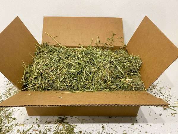Alfalfa Hay