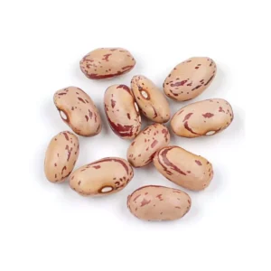 Borlotti Beans