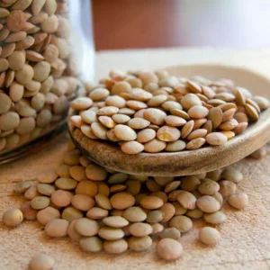 Lentils Beans