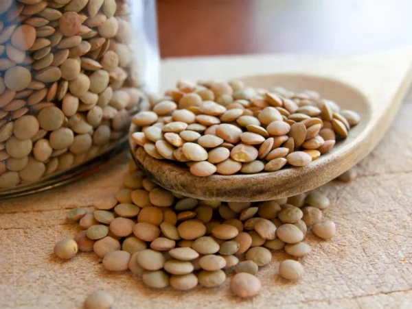 Lentils Beans