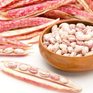 Pinto Beans