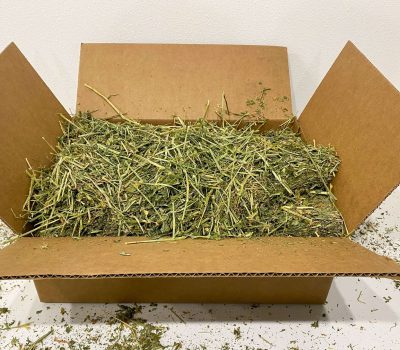 Alfalfa Hay