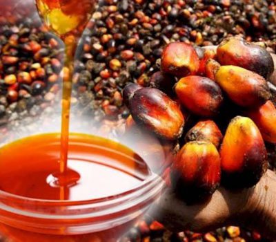 REFINED PALM OIL