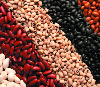 SHELL BEANS
